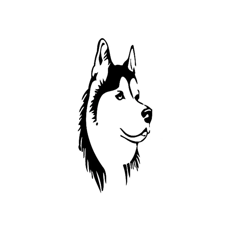 http://ae01.alicdn.com/kf/HTB19E2FdRnTBKNjSZPfq6zf1XXaK.jpg