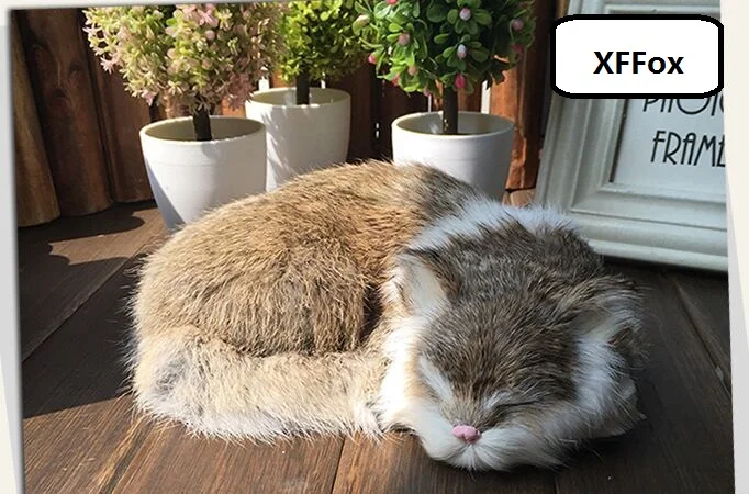 Симпатичная модель кошки цвета хаки из пластика и меха, имитация спящей кошки, кукла в подарок, около 21x17 см xf1338
Симпатичная модель кошки цвета хаки из пластика и меха, имитация спящей кошки, кукла в подарок, около 21x17 см xf1338