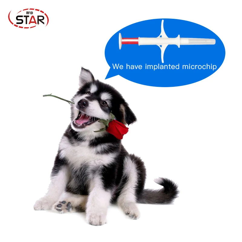 40pcs 1.4*8mm Animal RFID Microchip Syringe ISO11784/5 FDX-B 134.2Khz pet microchip dog microchip cat microchip implant
40pcs 1.4*8mm Animal RFID Microchip Syringe ISO11784/5 FDX-B 134.2Khz pet microchip dog microchip cat microchip implant