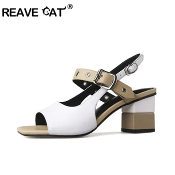 REAVE CAT Brand Women Sandals Fashion Real Leather Sandals Women's Shoes Slippers Slides Colorful Buckle Cutouts Shoe A422
REAVE CAT Brand Women Sandals Fashion Real Leather Sandals Women's Shoes Slippers Slides Colorful Buckle Cutouts Shoe A422