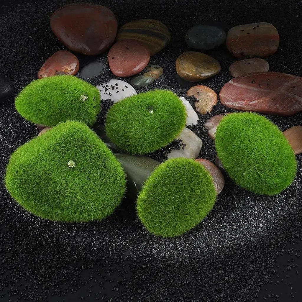 Terrariums Decorations Artificial Green Grass 5Pcs/Set Landscape Moss Foam Stone Micro
Terrariums Decorations Artificial Green Grass 5Pcs/Set Landscape Moss Foam Stone Micro