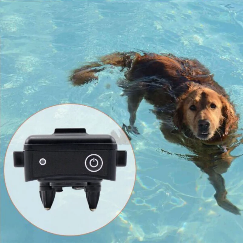 Rechargeable Waterproof Dog Training Collar Static Vibration Warning Tone Slide Button Remote Training Collar
Rechargeable Waterproof Dog Training Collar Static Vibration Warning Tone Slide Button Remote Training Collar