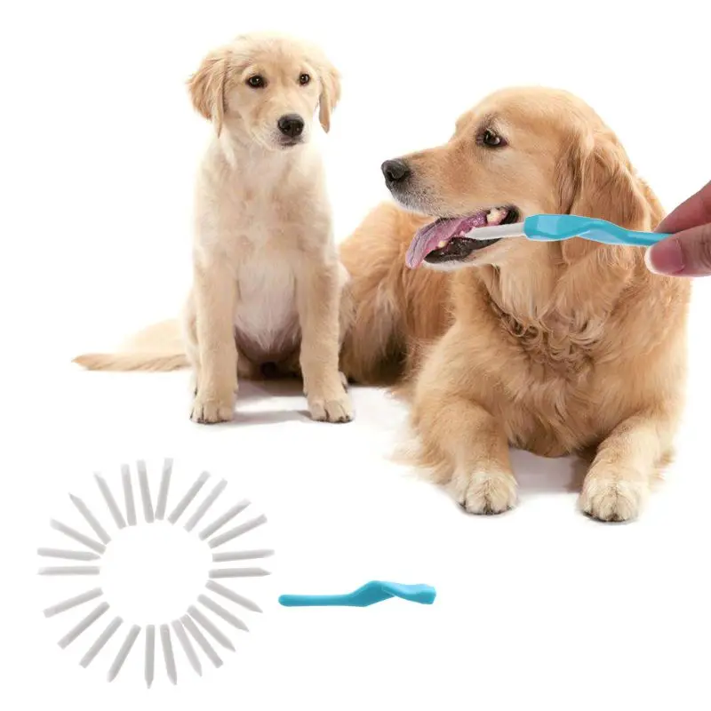25pcs/set Toothpicks Tooth Brush for Dogs Pet Cat Dog Oral Teeth Deep Cleaning Pet Dog Puppy Toothbrush
25pcs/set Toothpicks Tooth Brush for Dogs Pet Cat Dog Oral Teeth Deep Cleaning Pet Dog Puppy Toothbrush