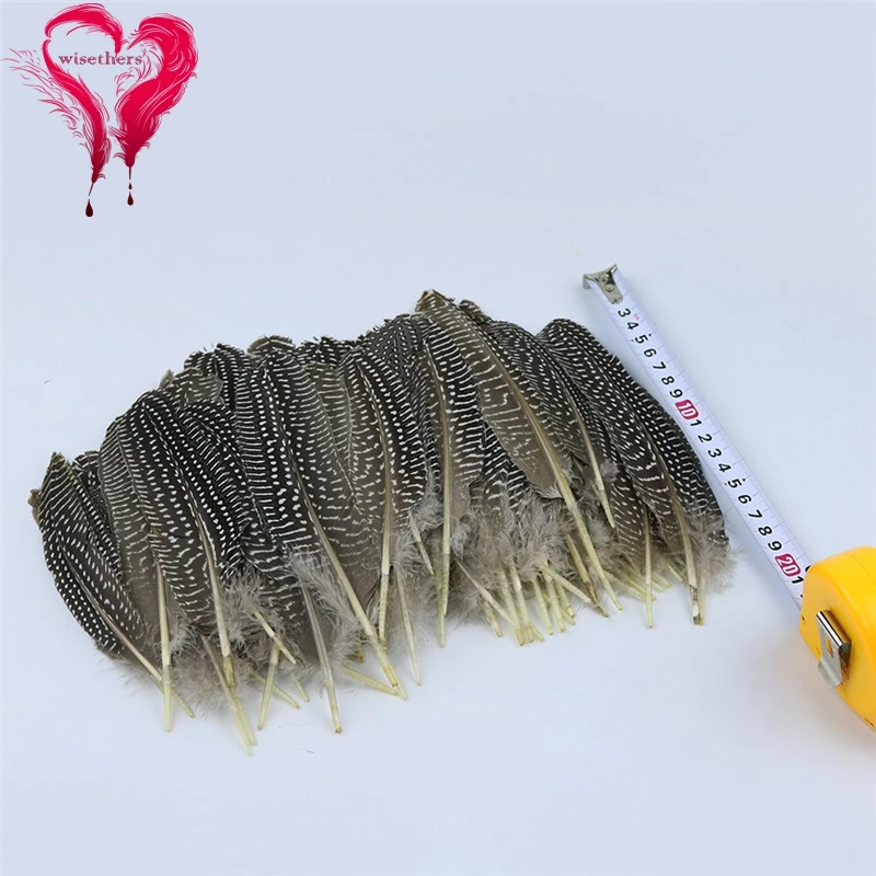 50 PCS/Lot Size 15-20 CM Natural Gray Spotted Guinea Fowl Wing Plumage Feathers DIY Crafts Hats Carnival Party Home Decoration
50 PCS/Lot Size 15-20 CM Natural Gray Spotted Guinea Fowl Wing Plumage Feathers DIY Crafts Hats Carnival Party Home Decoration