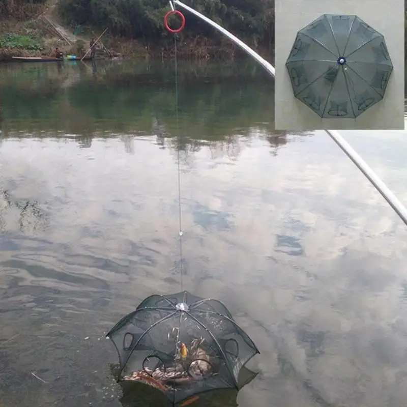 Folding Portable Automatic Fishing Trap Fishing Net Fish Minnow Shrimp Crab Baits Cast Mesh Trap Fish Tackle Iscas Pesca Tools
Folding Portable Automatic Fishing Trap Fishing Net Fish Minnow Shrimp Crab Baits Cast Mesh Trap Fish Tackle Iscas Pesca Tools