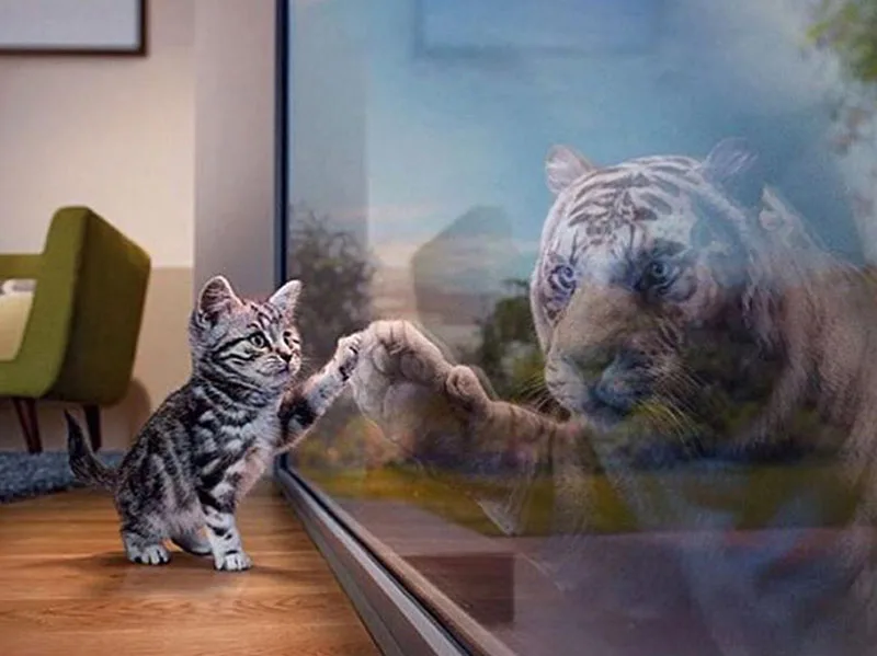 product-image-658587982_1024x1024