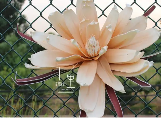 QQ20190124124912
