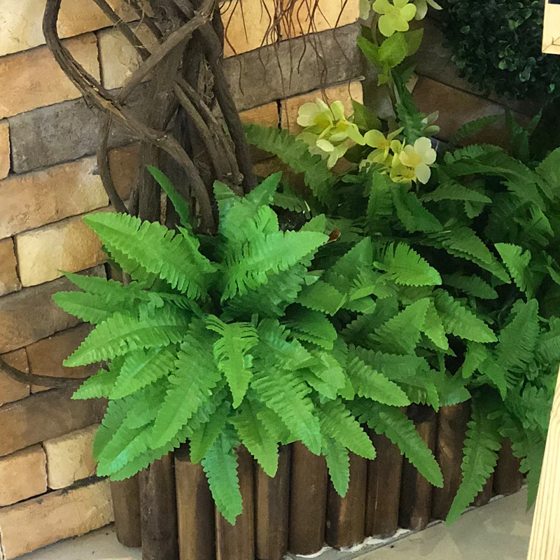 garden fake adornment grass green plant pot plant hanging row grass fern leaf persian leaves wall planted decor Arranging Leaves
garden fake adornment grass green plant pot plant hanging row grass fern leaf persian leaves wall planted decor Arranging Leaves