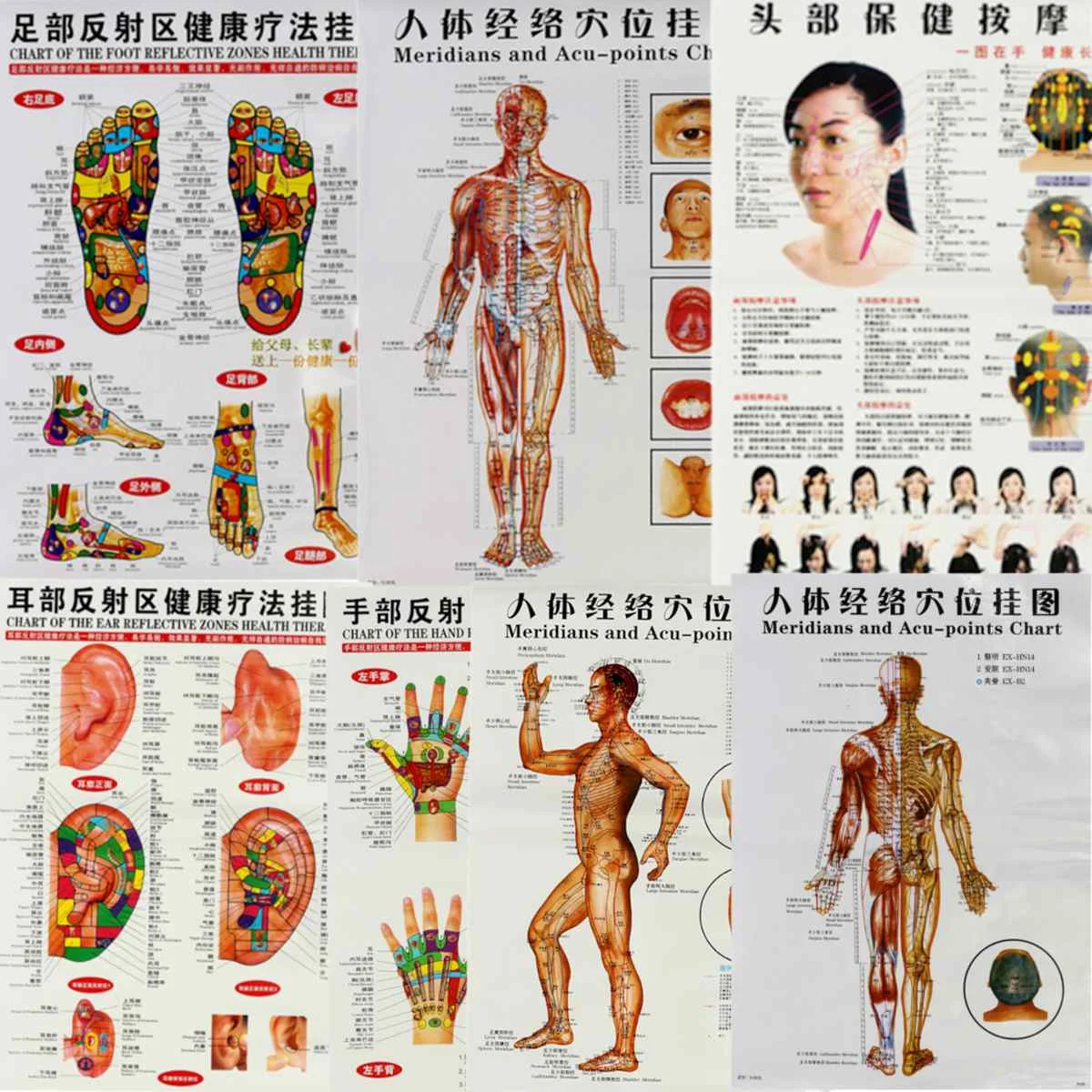 Foot Meridians Chart