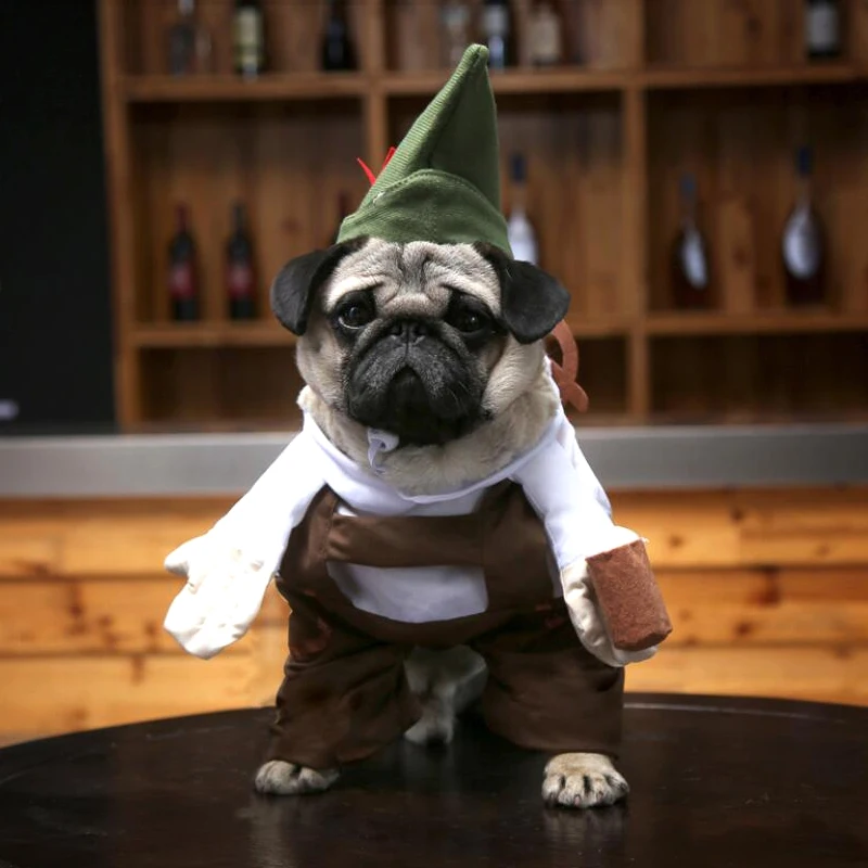 New Funny Cat Clothes Costume Dog Beer Waiter Barman Green Hat Holding Glass Suit Clothing For Pet Cool Halloween Costume Y110
New Funny Cat Clothes Costume Dog Beer Waiter Barman Green Hat Holding Glass Suit Clothing For Pet Cool Halloween Costume Y110