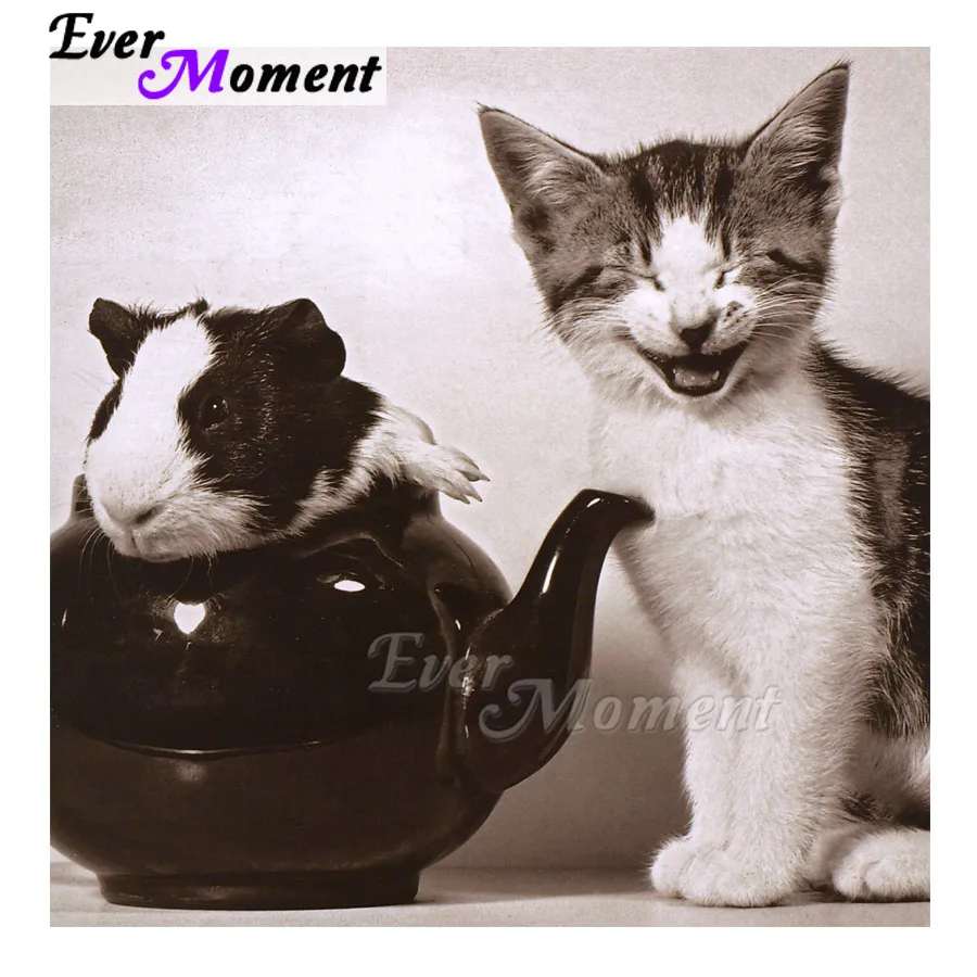 Ever Moment Diamond Painting Picture Of Rhinestone Mosaic Cat Mouse Decoration For Home Diamond Embroidery Decor ASF1586
Ever Moment Diamond Painting Picture Of Rhinestone Mosaic Cat Mouse Decoration For Home Diamond Embroidery Decor ASF1586