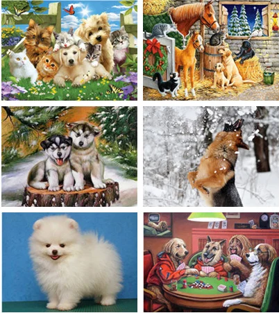 2018 new full drill diamond embroidery flowers dog needlework cross stitch diy painting animal horse picture rhinestones
2018 new full drill diamond embroidery flowers dog needlework cross stitch diy painting animal horse picture rhinestones