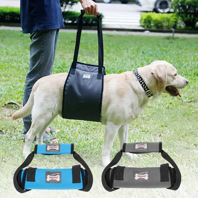Dog Harness Vest Dog Lift Support Harness Pet Accessories Leash Dogs Collar Auxiliary Strap Pet Supplies A30
Dog Harness Vest Dog Lift Support Harness Pet Accessories Leash Dogs Collar Auxiliary Strap Pet Supplies A30