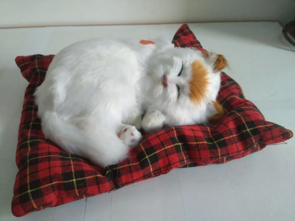 Имитация белого спящего кота 24x20x8 см модель, пластик и мех, звуки миаоу кота с ковриком, рукоделие, реквизит, украшение дома, подарок p0912
Имитация белого спящего кота 24x20x8 см модель, пластик и мех, звуки миаоу кота с ковриком, рукоделие, реквизит, украшение дома, подарок p0912
