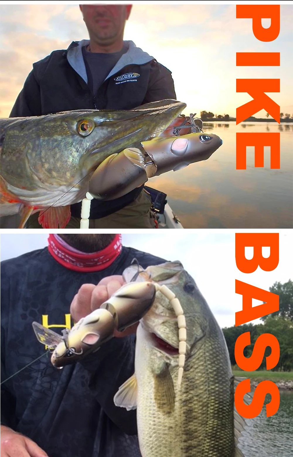 Rat Fishing Bait HTB19SJHaifrK1RjSspbq6A4pFXaW.jpg - Rat Fishing Bait