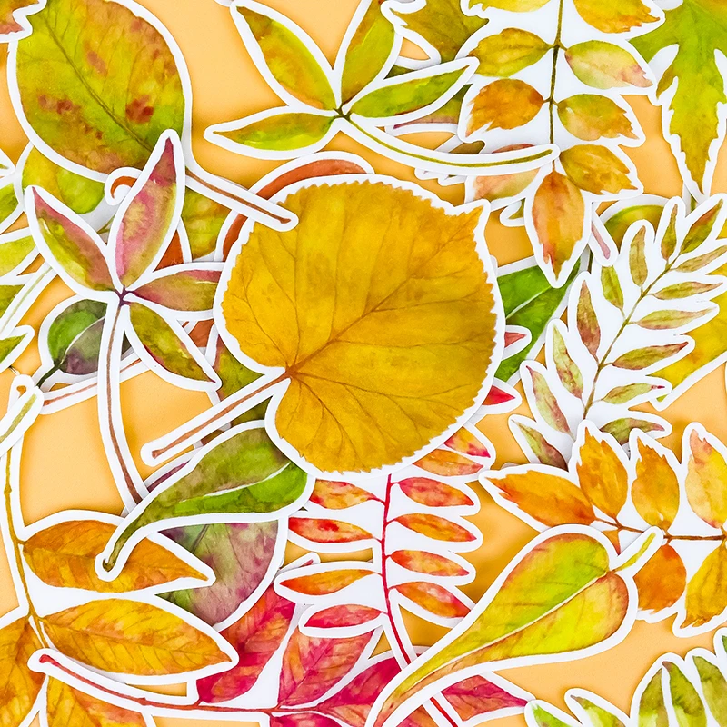 30pcs Creative Cute Self-made bullfighting Watercolor leaves DIY Stickers Diary Album Decoration scrapbooking child stationery
30pcs Creative Cute Self-made bullfighting Watercolor leaves DIY Stickers Diary Album Decoration scrapbooking child stationery