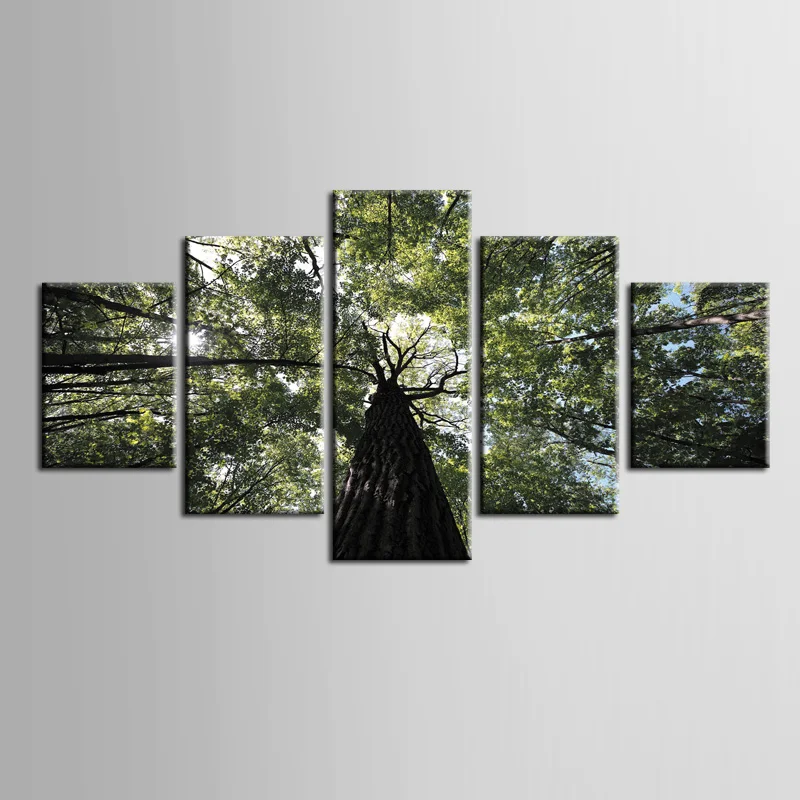 Framed 5 Panel Scenic trees Wall Art Oil Painting On Canvas Printed Painting Pictures Decor painting large living room/ZT-3-68
Framed 5 Panel Scenic trees Wall Art Oil Painting On Canvas Printed Painting Pictures Decor painting large living room/ZT-3-68