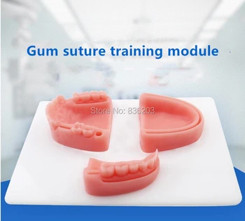 Oral Suture Training Imitation Oral Multiple Wound skeleton anatomical Skull Male member traumatic pistol medical instruments
Oral Suture Training Imitation Oral Multiple Wound skeleton anatomical Skull Male member traumatic pistol medical instruments