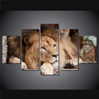 Hd Printed Lev Koshka Morda Griva Vzglyad Painting Canvas Print Room Decor Print Poster Picture Canvas Free Shipping/Ny-4388
Hd Printed Lev Koshka Morda Griva Vzglyad Painting Canvas Print Room Decor Print Poster Picture Canvas Free Shipping/Ny-4388