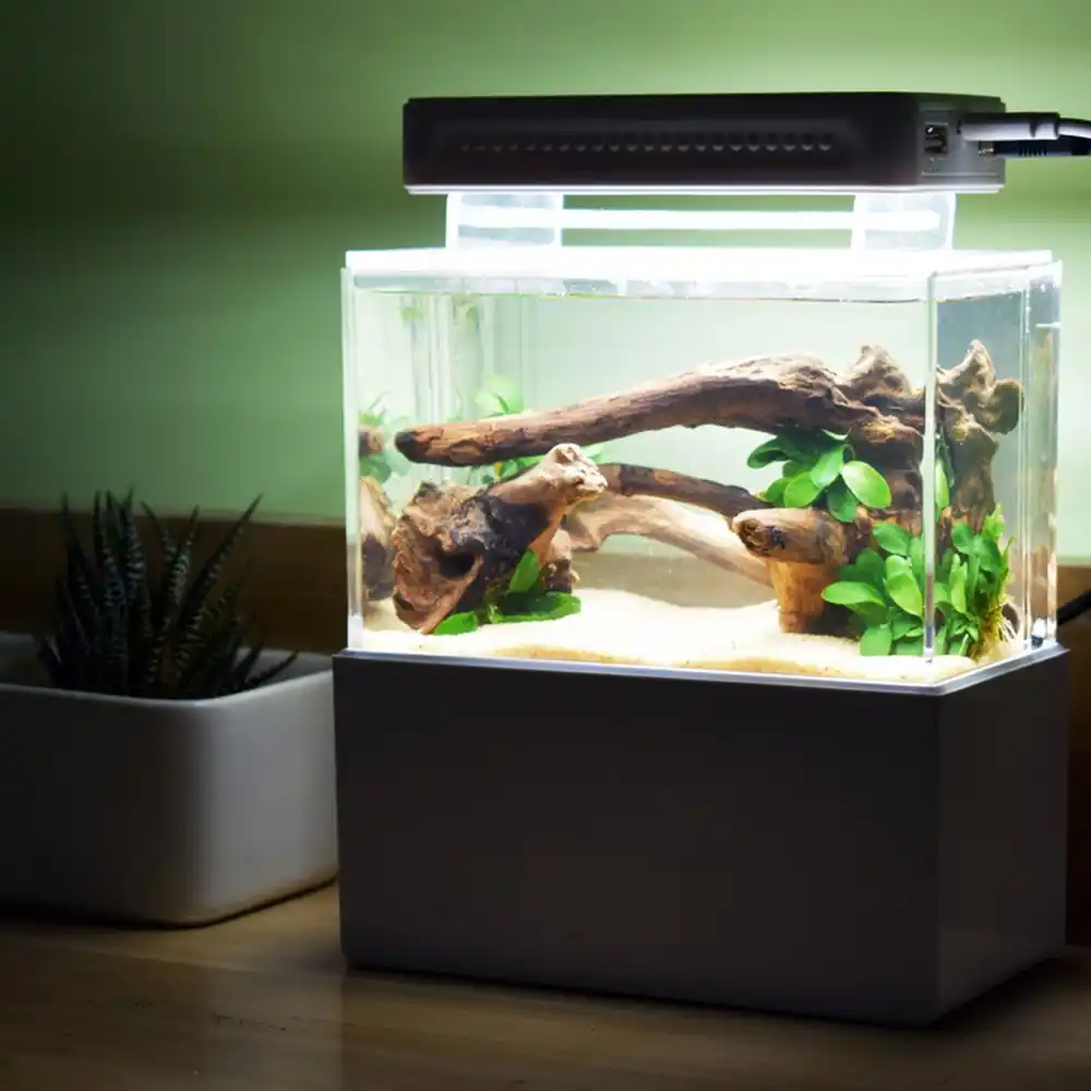Reef Ikan Tangki Mini Led Biru Laut Silinder Khusus Biru Coral
