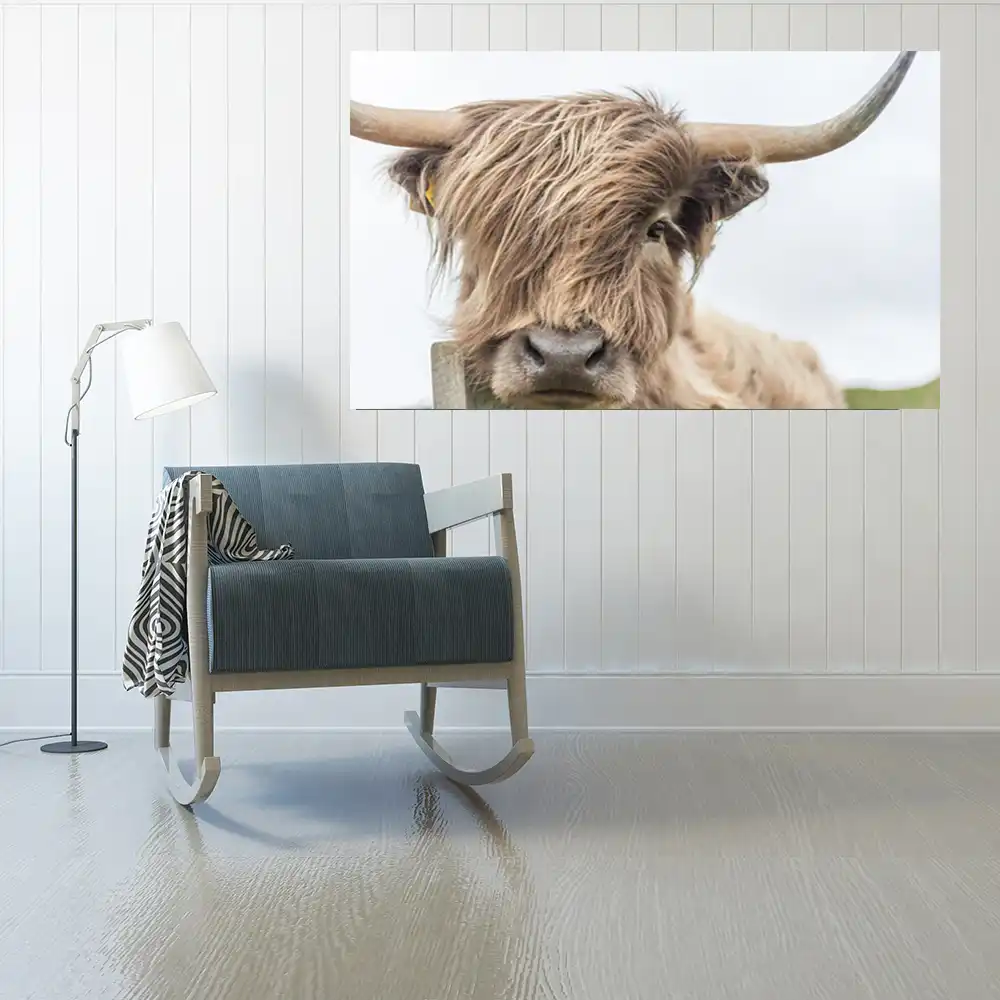 Printed Wall Art Highland Cow Print And Poster Cattle Canvas Art