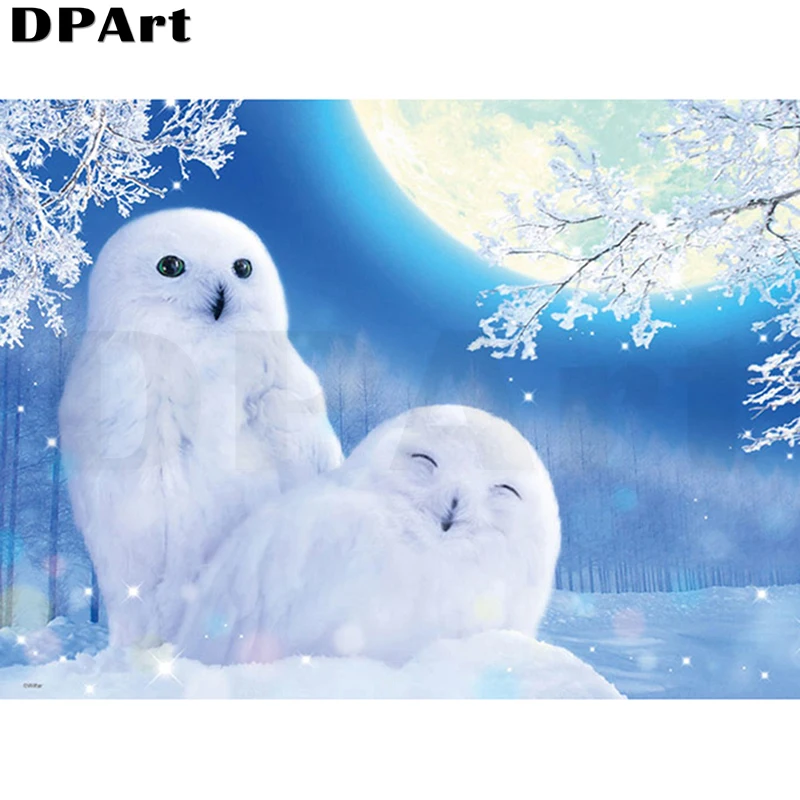 Diamond Painting Full Square/Round Drill Owls Made of Snow 5D Daimond Painting Embroidery Cross Stitch Mosaic Rhinestone Zou120
Diamond Painting Full Square/Round Drill Owls Made of Snow 5D Daimond Painting Embroidery Cross Stitch Mosaic Rhinestone Zou120