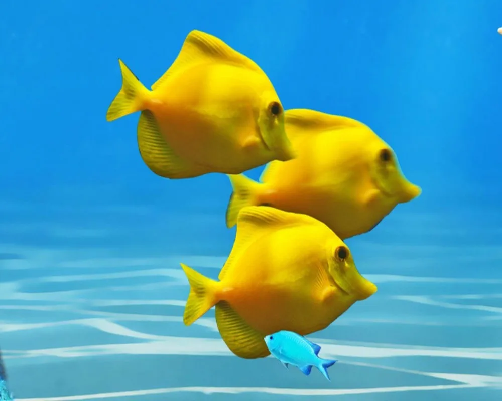 4_conew1