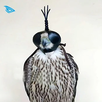 British Genuine Leather Cowhide Headgear Eye Patch Eyeshade Blinkers Falconry Tactical Hunting Falco Hawk Black Eared Kite
British Genuine Leather Cowhide Headgear Eye Patch Eyeshade Blinkers Falconry Tactical Hunting Falco Hawk Black Eared Kite