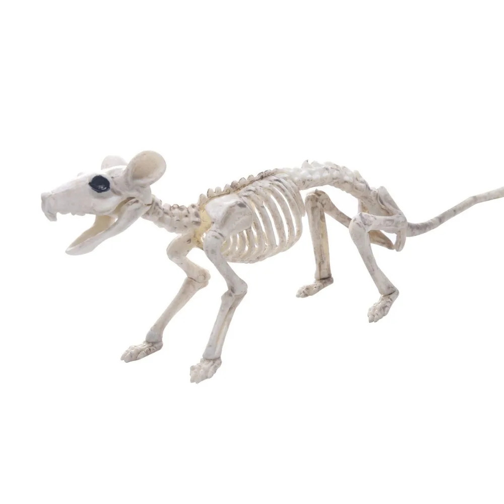 Animal Mouse Skull fancy Creative action figure toys Skeleton model decor collection Aquarium ornaments Halloween Toys Gift
Animal Mouse Skull fancy Creative action figure toys Skeleton model decor collection Aquarium ornaments Halloween Toys Gift