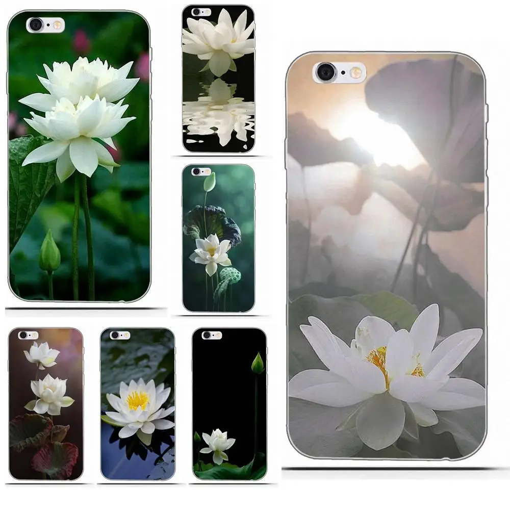 Beautiful Colors White Lotus Flower For Huawei P7 P8 P9 P10 P20 P30 Lite Mini Plus Pro 2017 2018 2019
Beautiful Colors White Lotus Flower For Huawei P7 P8 P9 P10 P20 P30 Lite Mini Plus Pro 2017 2018 2019