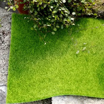 HiMISS Fake Moss DIY Simulate Green Plant Lawn Landscape for Mini Garden Decoration
HiMISS Fake Moss DIY Simulate Green Plant Lawn Landscape for Mini Garden Decoration