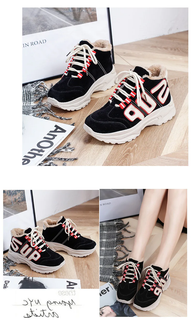 9565637533_1244332661