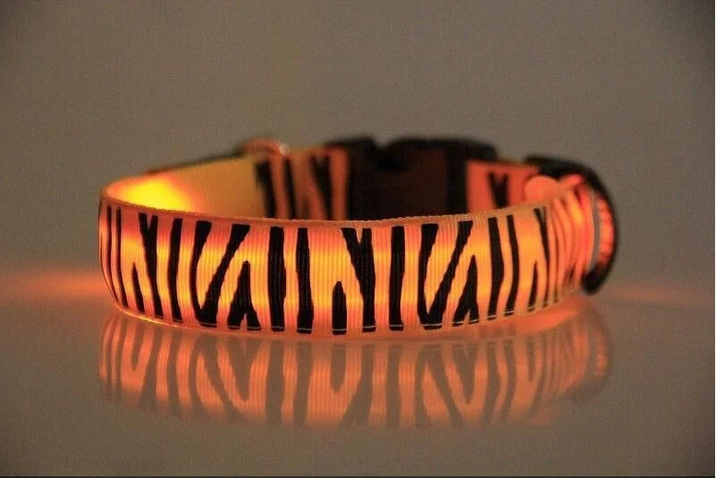 L30_New_LED_Nylon_Pet_Dog_Collar_Light-emitting_zebra_pattern_Night_safety_Puppy_cat_dog_collars_supplies_ (7)