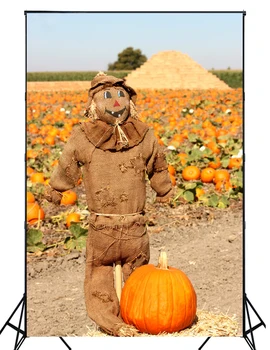 2016 New arrival photo studio Halloween photography backdrops for newborn hot sale pumpkin photo background XT-4251
2016 New arrival photo studio Halloween photography backdrops for newborn hot sale pumpkin photo background XT-4251