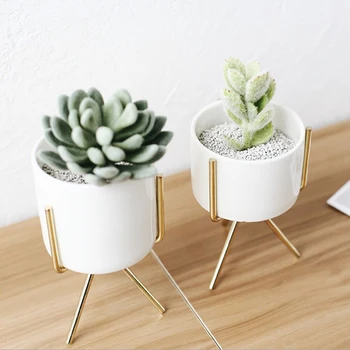 Metal Flower Plant Stand Rack Holder with Ceramic Flowerpot for Succulent Planters Flower Home Tabletop Desk Decor
Metal Flower Plant Stand Rack Holder with Ceramic Flowerpot for Succulent Planters Flower Home Tabletop Desk Decor