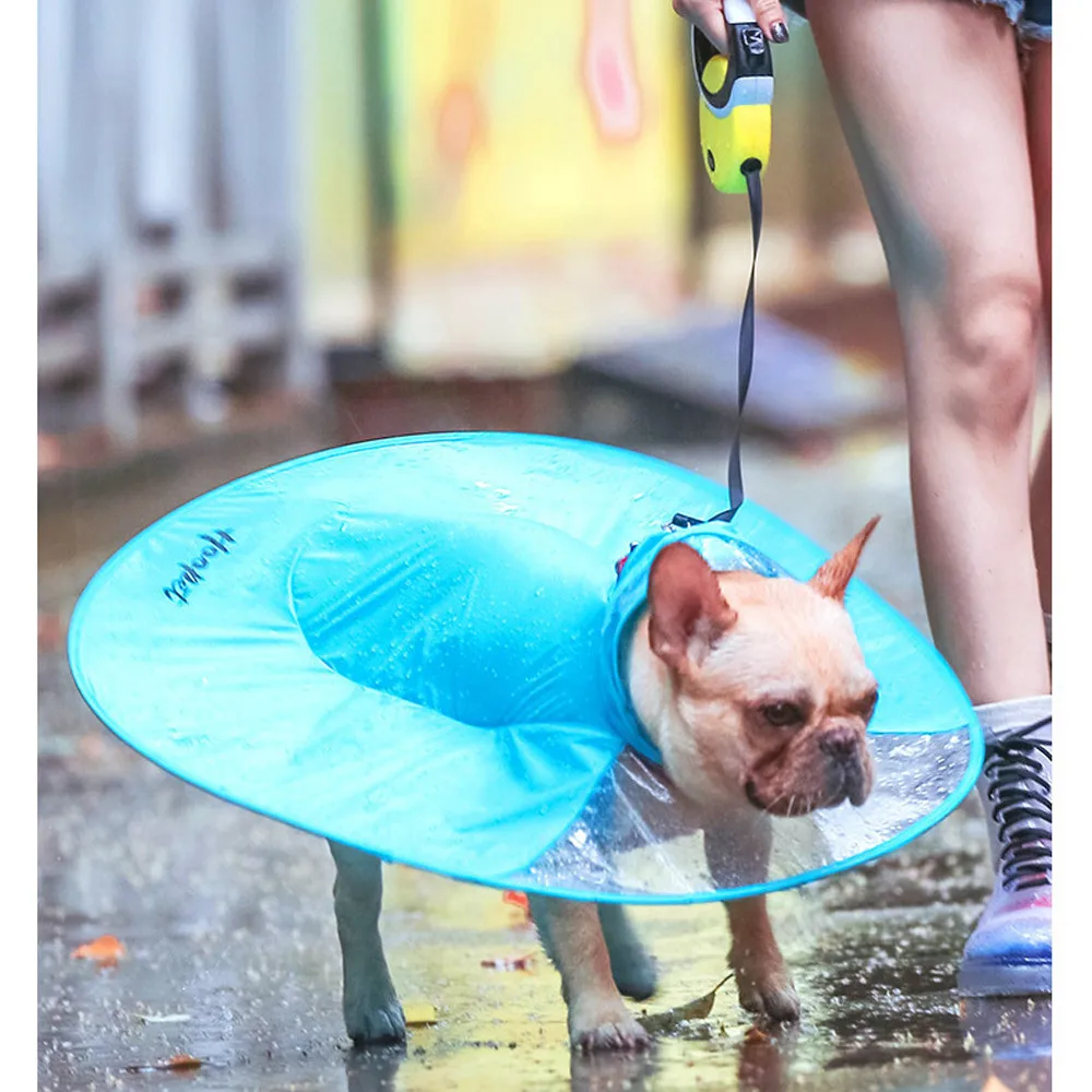 Clothes For Small Dogs chihuahua Fashion Pet Dog Rain Coat Clothes Dogs Puppy Casual Waterproof roupas para cachorro wholesale
Clothes For Small Dogs chihuahua Fashion Pet Dog Rain Coat Clothes Dogs Puppy Casual Waterproof roupas para cachorro wholesale