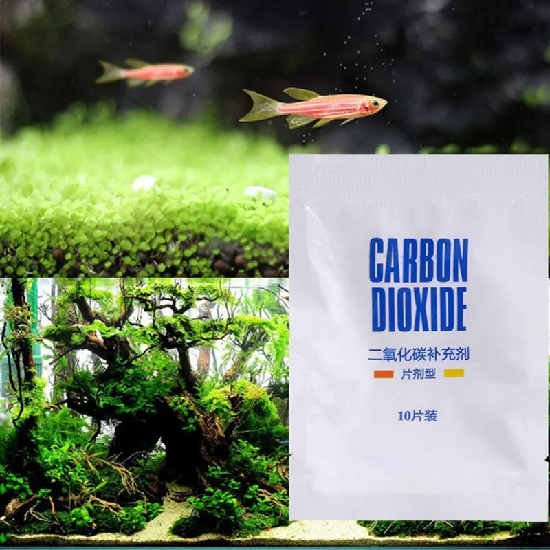 Aquarium CO2 Tablet for Watergrass Fish Tank CO2 Carbon Dioxide Slice 10 Pcs/bottle
Aquarium CO2 Tablet for Watergrass Fish Tank CO2 Carbon Dioxide Slice 10 Pcs/bottle
