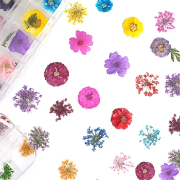 1 Case 24 Pcs Dry Flowers Daisy Nail Decal Gypsophila Leaf Natural Dried Petal Nail Art Decor Real Flora Gel Manicure Tools
1 Case 24 Pcs Dry Flowers Daisy Nail Decal Gypsophila Leaf Natural Dried Petal Nail Art Decor Real Flora Gel Manicure Tools