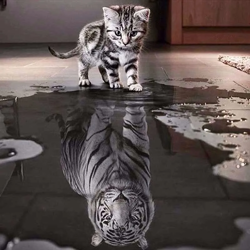 New Handicrafts Cat Reflection Tiger 5D Diy Diamond Painting Cross Stitch Animal embroidery Mosaic European Home Decor
New Handicrafts Cat Reflection Tiger 5D Diy Diamond Painting Cross Stitch Animal embroidery Mosaic European Home Decor