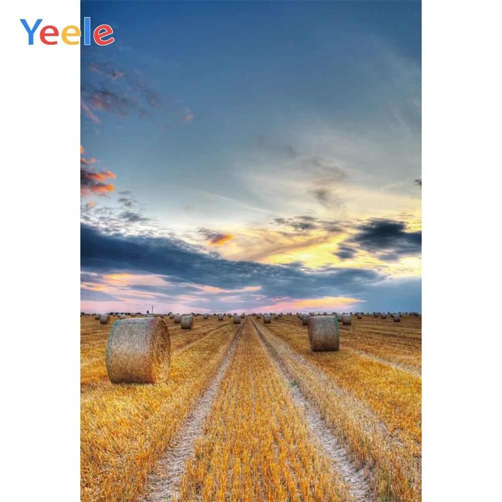 Yeele Hay Bale Rural Field Sunset Glow Canvas Vinyl Photography Backgrounds Personalized Photographic Backdrops For Photo Studio
Yeele Hay Bale Rural Field Sunset Glow Canvas Vinyl Photography Backgrounds Personalized Photographic Backdrops For Photo Studio