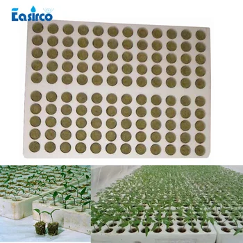 (120pcs grow plug with tray) Grodan Starter Plugs with tray - rockwool hydroponic grow media. Propagation Cloning Rockwool plug
(120pcs grow plug with tray) Grodan Starter Plugs with tray - rockwool hydroponic grow media. Propagation Cloning Rockwool plug