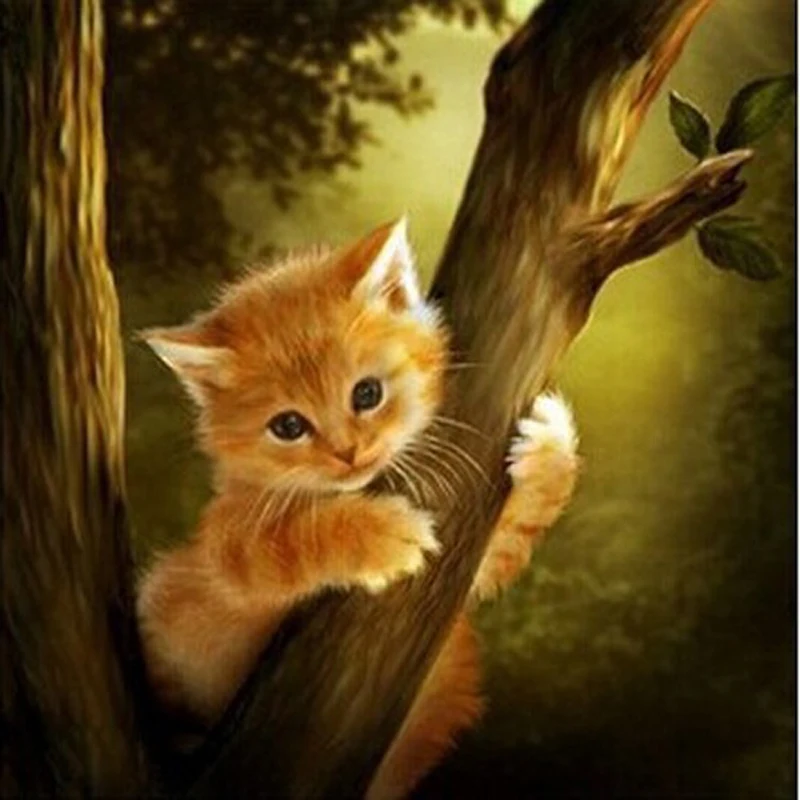 5D Diy Diamond Painting Cross Stitch Kitten Climbing The Tree Needlework Diamond Embroidery Full Round Mosaic Decoration Resin
5D Diy Diamond Painting Cross Stitch Kitten Climbing The Tree Needlework Diamond Embroidery Full Round Mosaic Decoration Resin