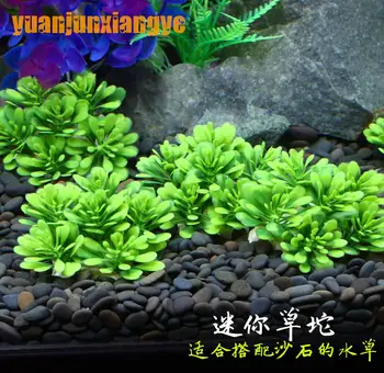 Home Fish Aquatic Decorations Aquarium Landscaping plastic Simulation Little grass Sand Stone Collocation scaft 10pcs/lot
Home Fish Aquatic Decorations Aquarium Landscaping plastic Simulation Little grass Sand Stone Collocation scaft 10pcs/lot