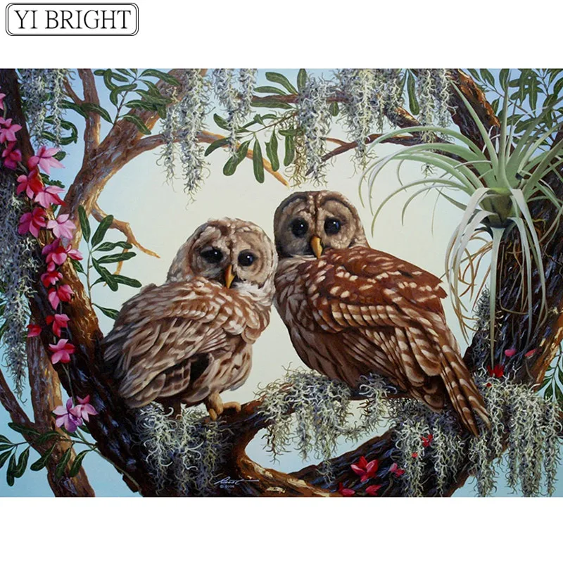 Diamond Painting Owls Needlework Full Square Resin Diamond Painting Embroidery Mosaic Cross Stitch Handicraft Gift XY1
Diamond Painting Owls Needlework Full Square Resin Diamond Painting Embroidery Mosaic Cross Stitch Handicraft Gift XY1