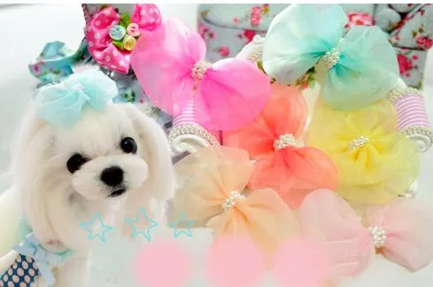 Dogs Hair Accessory Handmade pearl snow yarn Bowknot hairpin Pet Cats Grooming Clips Princess yarn flower Hairpin
Dogs Hair Accessory Handmade pearl snow yarn Bowknot hairpin Pet Cats Grooming Clips Princess yarn flower Hairpin