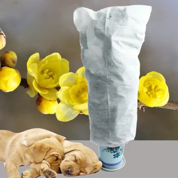 Behogar 2PCS Winter Reusable Cold Frost Protection Non-woven Plant Crop Cover for Garden Farm Courtyard Orchard 60x110cm
Behogar 2PCS Winter Reusable Cold Frost Protection Non-woven Plant Crop Cover for Garden Farm Courtyard Orchard 60x110cm