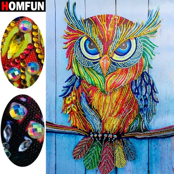 HOMFUN 5D Special Shape Diamond Painting Animal Owl Beadwork Diamond Embroidery 5D Sale Craft Kit Home Decor Gift 40x30cm
HOMFUN 5D Special Shape Diamond Painting Animal Owl Beadwork Diamond Embroidery 5D Sale Craft Kit Home Decor Gift 40x30cm