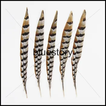 Free shipping100pcs/lot30-35cm Reevesii pheasant tail feather Lady Amhurst pheasant feathers for performance deco
Free shipping100pcs/lot30-35cm Reevesii pheasant tail feather Lady Amhurst pheasant feathers for performance deco