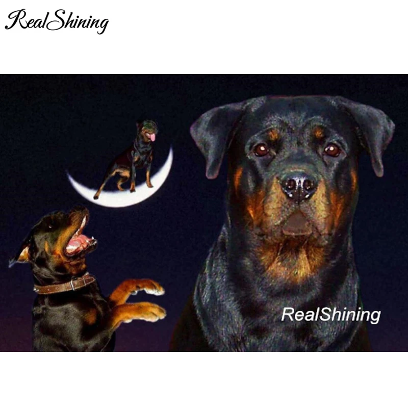 5D DIY Diamond Painting Full Square Round Moon Rottweiler Dog 3D Embroidery Cross Stitch Rhinestone Mosaic wall art decor FS4735
5D DIY Diamond Painting Full Square Round Moon Rottweiler Dog 3D Embroidery Cross Stitch Rhinestone Mosaic wall art decor FS4735