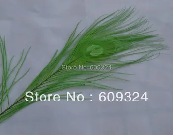 FREE SHIPPING -Wholesale 100 pcs/lot 10-12inch green peacock feather for scrapbooking, invitations, wedding decor
FREE SHIPPING -Wholesale 100 pcs/lot 10-12inch green peacock feather for scrapbooking, invitations, wedding decor